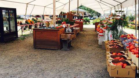 Landis Fruit Market